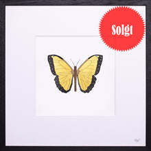 Indlæs billede til gallerivisning Springtime in My Heart 13 / 25