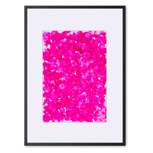 Indlæs billede til gallerivisning Kosmos i Flor - Cherry Drops<br>50x70 cm.<br>Originalt værk