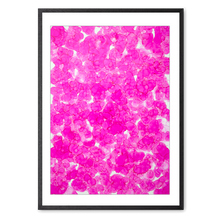 Indlæs billede til gallerivisning Kosmos i Flor - Blush Bloom<br>70 x 100 cm.<br>Originalt værk