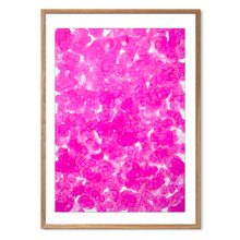 Indlæs billede til gallerivisning Kosmos i Flor - Blush Bloom<br>70 x 100 cm.<br>Originalt værk