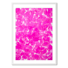 Indlæs billede til gallerivisning Kosmos i Flor - Blush Bloom<br>70 x 100 cm.<br>Originalt værk
