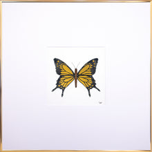 Load image into Gallery viewer, Torchbearer<br>Glimpse of Gold<br>50 x 50 cm. in gold frame<br>Gold Edition