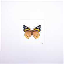 Load image into Gallery viewer, Torchbearer<br>Captain of the Sky<br>50 x 50 cm.