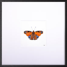 Load image into Gallery viewer, Torchbearer<br>Guardian of The Sun<br>50 x 50 cm.