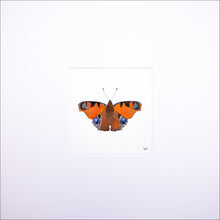 Load image into Gallery viewer, Torchbearer<br>Guardian of The Sun<br>50 x 50 cm.