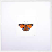 Load image into Gallery viewer, Torchbearer<br>Guardian of The Sun<br>50 x 50 cm.