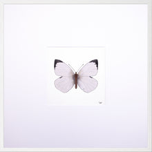 Load image into Gallery viewer, Torchbearer<br>Whisper of Wind<br>50 x 50 cm.