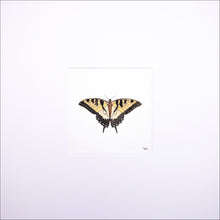 Load image into Gallery viewer, Torchbearer<br>Four-Leaf Clover<br>50 x 50 cm.