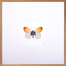 Load image into Gallery viewer, Torchbearer<br>Flame of Spring<br>50 x 50 cm.