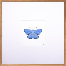 Load image into Gallery viewer, Torchbearer<br>Blue Skies<br>50 x 50 cm.