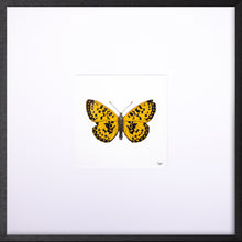 Load image into Gallery viewer, Torchbearer<br>Amber Flame<br>50 x 50 cm.