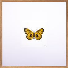 Load image into Gallery viewer, Torchbearer<br>Amber Flame<br>50 x 50 cm.