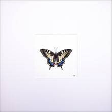 Load image into Gallery viewer, Torchbearer<br>Swallowtail<br>50 x 50 cm.