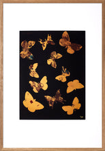 Load image into Gallery viewer, Screenprint<br>Torchbearer<br>Dreamcatcher<br>70 x 100 cm. in gold frame<br>Gold Edition