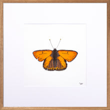 Load image into Gallery viewer, Torchbearer<br>Spark of Dreams<br>30 x 30 cm.