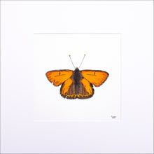 Load image into Gallery viewer, Torchbearer<br>Spark of Dreams<br>30 x 30 cm.