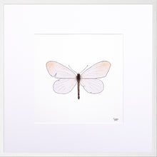 Load image into Gallery viewer, Torchbearer<br>Ray of Light<br>30 x 30 cm.