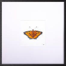 Load image into Gallery viewer, Torchbearer<br>Forest Meadow<br>50 x 50 cm.