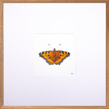 Load image into Gallery viewer, Torchbearer<br>Forest Meadow<br>50 x 50 cm.