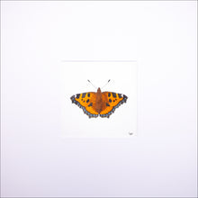 Load image into Gallery viewer, Torchbearer<br>Forest Meadow<br>50 x 50 cm.