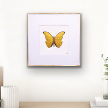 Indlæs billede til gallerivisning Forår i mit hjerte - Guldfugl<br>50 x 50 cm. i guldramme<br>Gold Edition