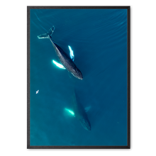 Load image into Gallery viewer, Singers of The Sea - East<br>50x70 cm.