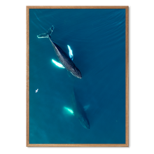 Load image into Gallery viewer, Singers of The Sea - East<br>50x70 cm.