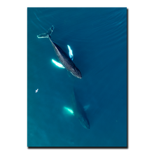 Load image into Gallery viewer, Singers of The Sea - East<br>50x70 cm.