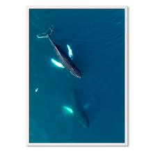 Load image into Gallery viewer, Singers of The Sea - East<br>50x70 cm.