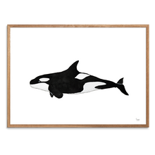 Indlæs billede til gallerivisning Spækhugger<br>Akvarel<br>30 x 40 cm.<br>Originalt værk