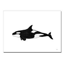 Indlæs billede til gallerivisning Spækhugger<br>Akvarel<br>30 x 40 cm.<br>Originalt værk