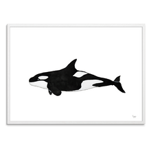 Indlæs billede til gallerivisning Spækhugger<br>Akvarel<br>30 x 40 cm.<br>Originalt værk