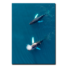 Load image into Gallery viewer, Singers of The Sea - West<br>50x70 cm.