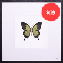 Indlæs billede til gallerivisning Springtime in My Heart 1 / 25