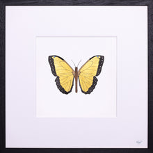 Indlæs billede til gallerivisning Springtime in My Heart 13 / 25