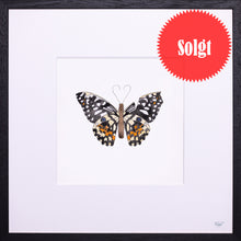 Indlæs billede til gallerivisning Springtime in My Heart 15 / 25