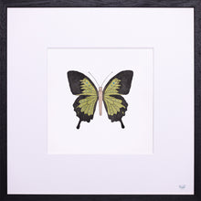 Indlæs billede til gallerivisning Springtime in My Heart 1 / 25