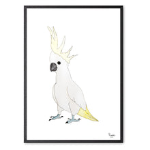 Indlæs billede til gallerivisning Kakaduen Kiki<br>Flere varianter<br><i>Med</i> og <i>uden</i> ord