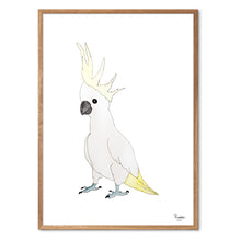 Indlæs billede til gallerivisning Kakaduen Kiki<br>Flere varianter<br><i>Med</i> og <i>uden</i> ord