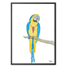 Indlæs billede til gallerivisning Papegøjen Peppeline<br>Flere varianter<br><i>Med</i> og <i>uden</i> ord