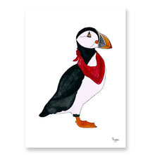 Indlæs billede til gallerivisning Sørøver Susan<br>Flere varianter<br><i>Med</i> og <i>uden</i> ord