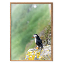 Indlæs billede til gallerivisning Stay Hungry