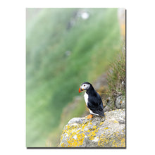 Indlæs billede til gallerivisning Stay Hungry