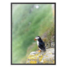 Indlæs billede til gallerivisning Stay Hungry