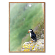 Indlæs billede til gallerivisning Stay Hungry