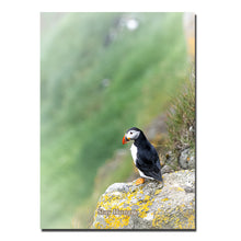 Indlæs billede til gallerivisning Stay Hungry