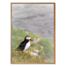 Indlæs billede til gallerivisning Stay Strong
