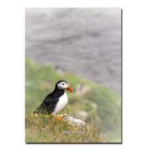 Indlæs billede til gallerivisning Stay Strong