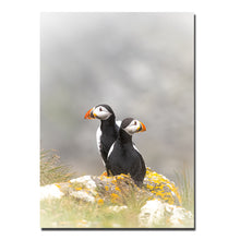 Indlæs billede til gallerivisning Stay Together