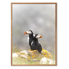 Indlæs billede til gallerivisning Stay Together